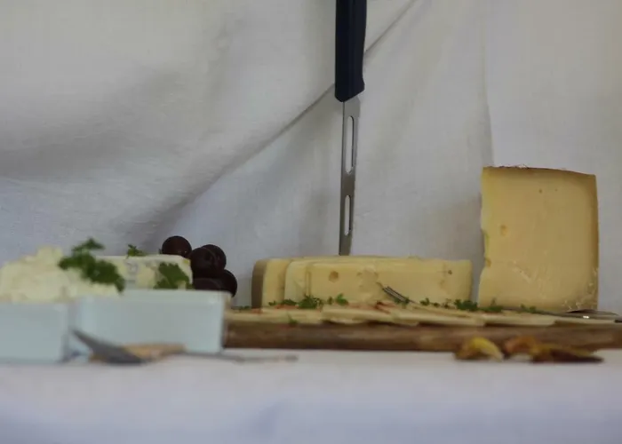 Well-dorado 招待所