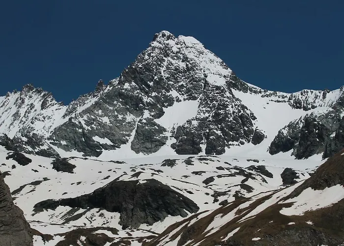 Well-dorado 招待所 *